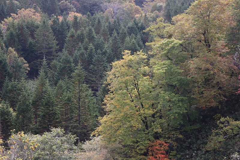 b0250154_06245921.jpg