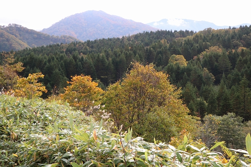 b0250154_06251199.jpg