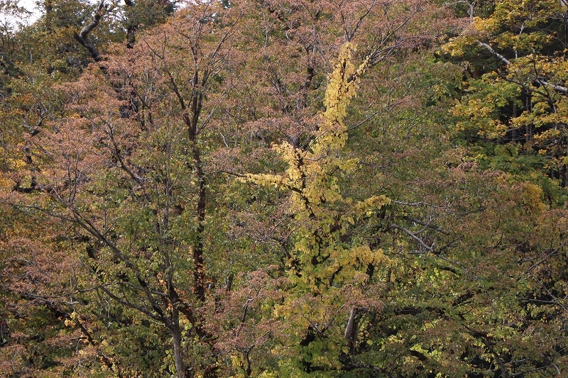 b0250154_21034680.jpg