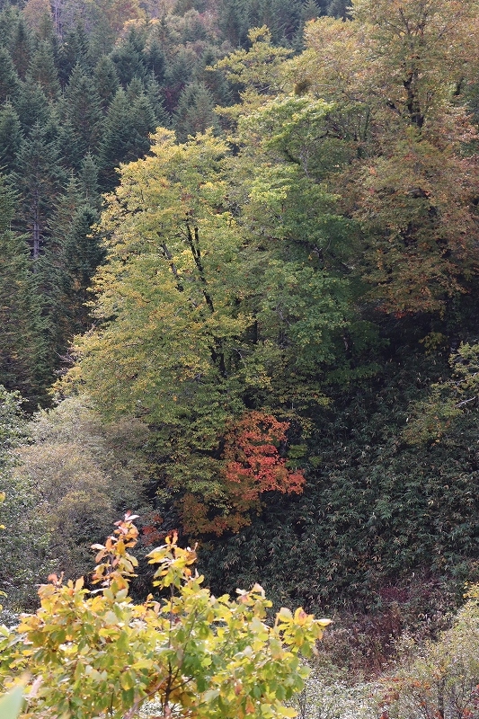 b0250154_21042232.jpg