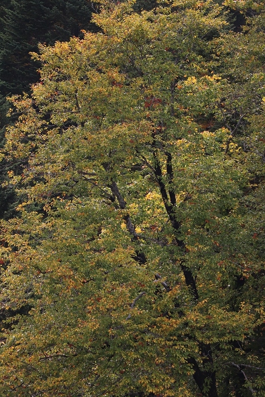 b0250154_21043349.jpg