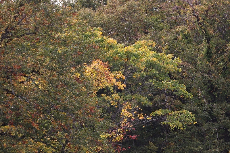 b0250154_21044891.jpg