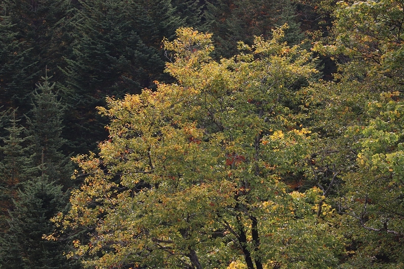 b0250154_21050176.jpg