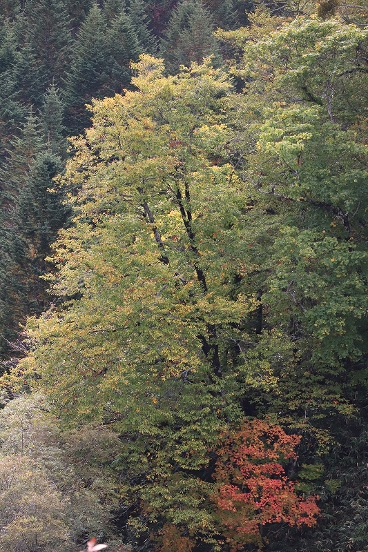 b0250154_21051765.jpg