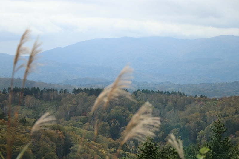 b0250154_21060268.jpg