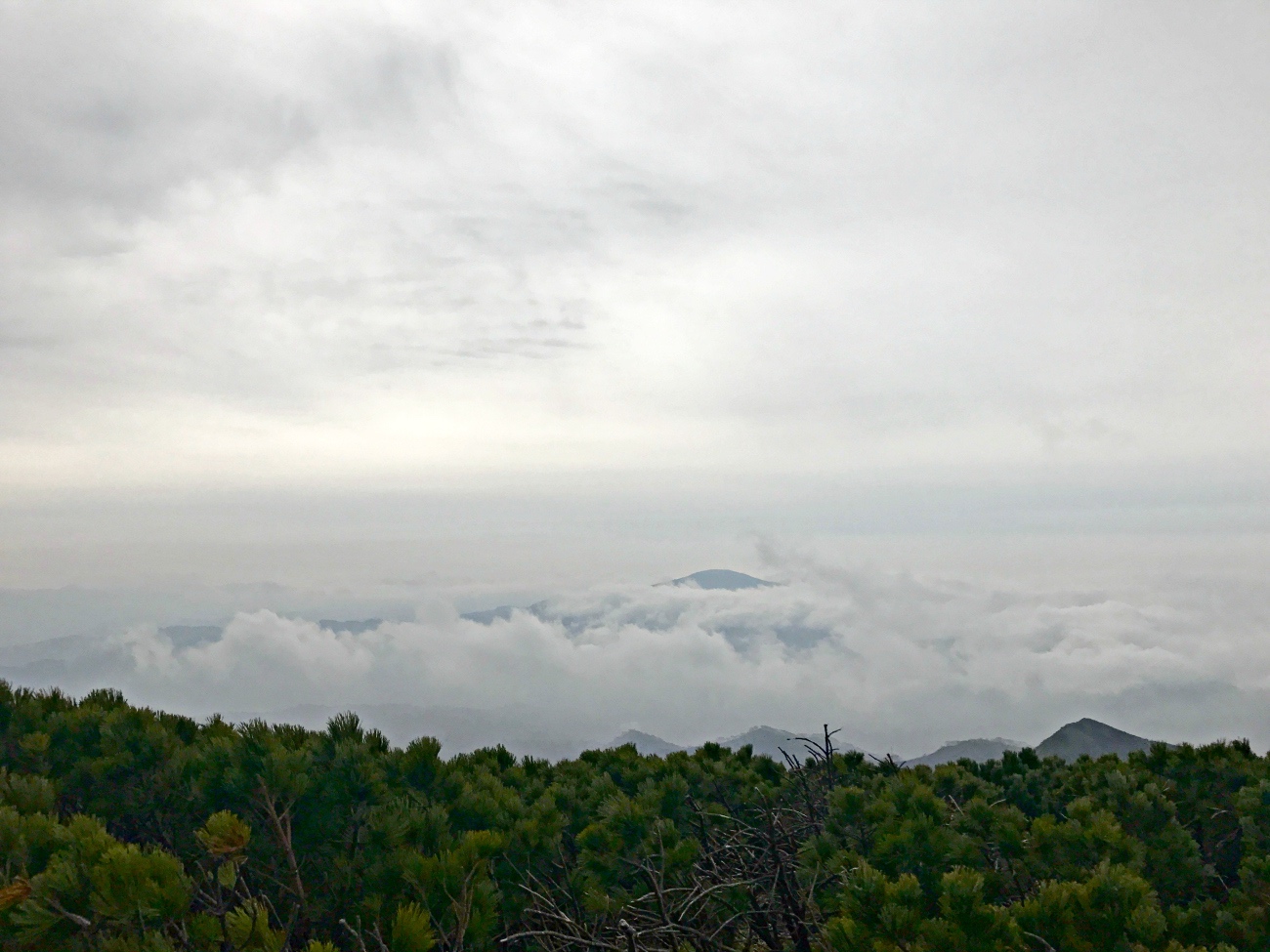 e0105954_1414948.jpg