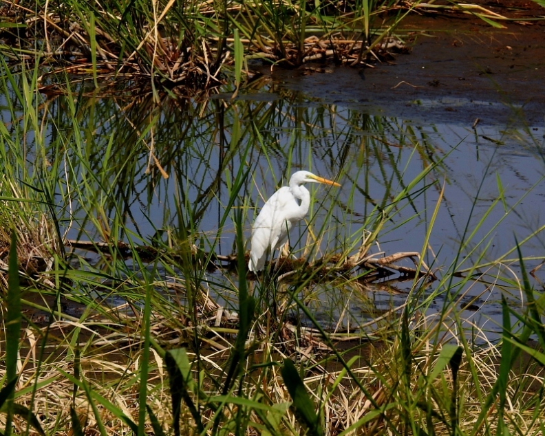 c0305565_17252770.jpg