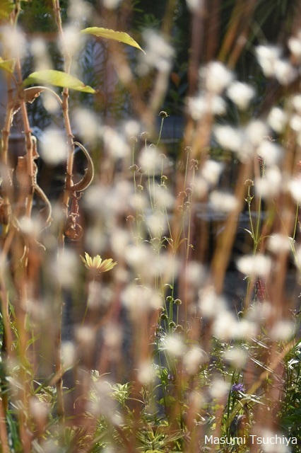 d0334669_00460993.jpg