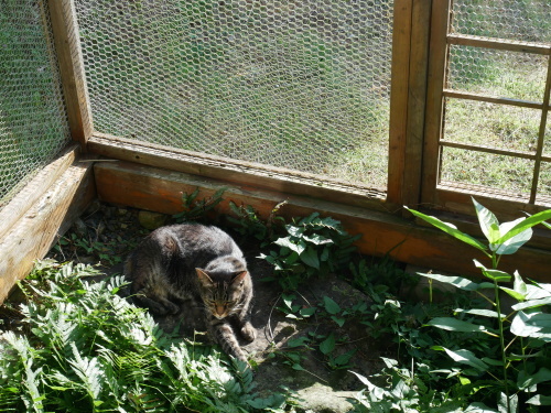 f0054677_05112728.jpg