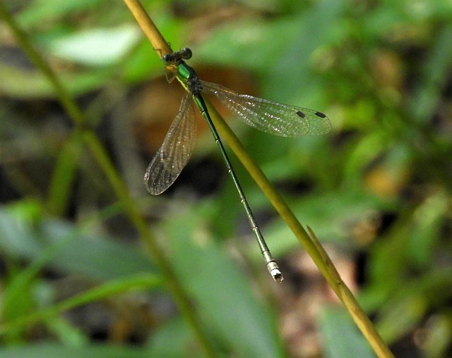 f0378979_20005390.jpg