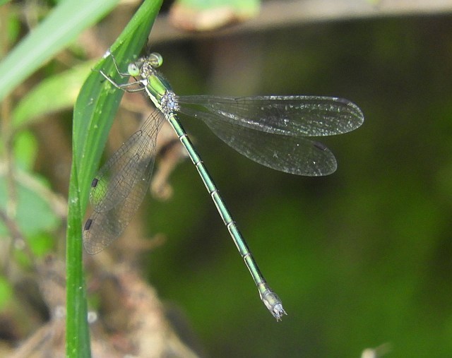 f0378979_20010890.jpg