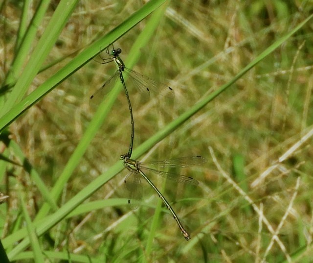f0378979_20012046.jpg