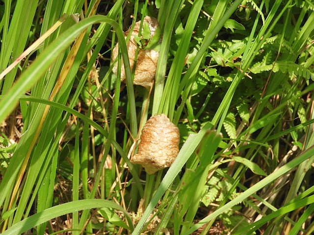 f0378979_20090952.jpg