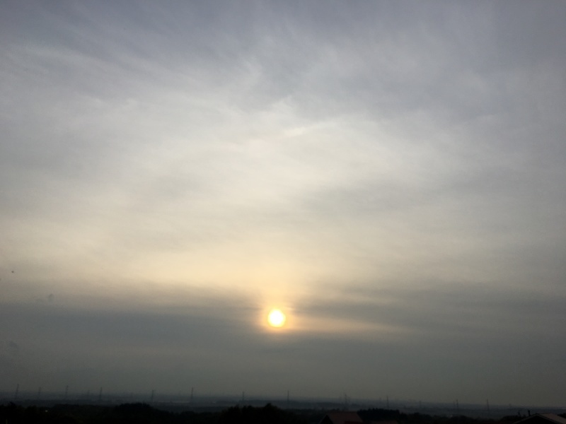 d0355681_18240020.jpeg