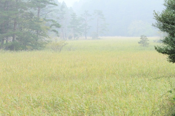 f0350585_13510884.jpg