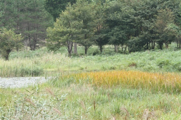 f0350585_13540075.jpg