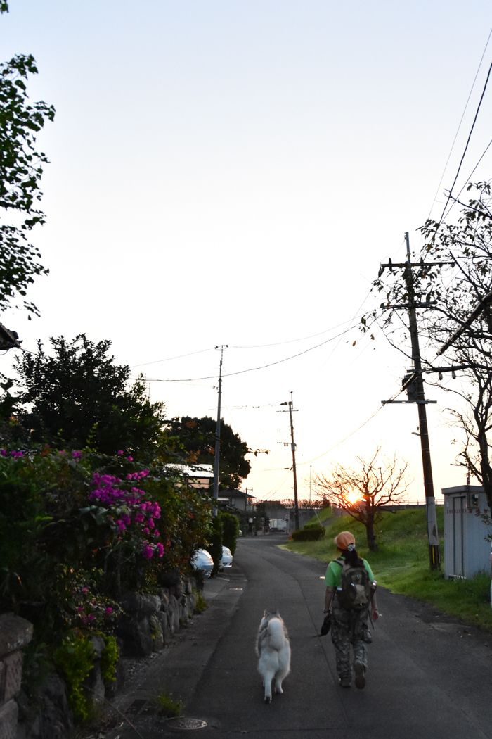 c0049299_21031242.jpg