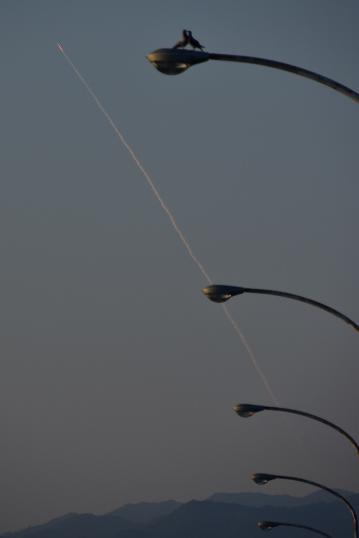 c0049299_21075604.jpg