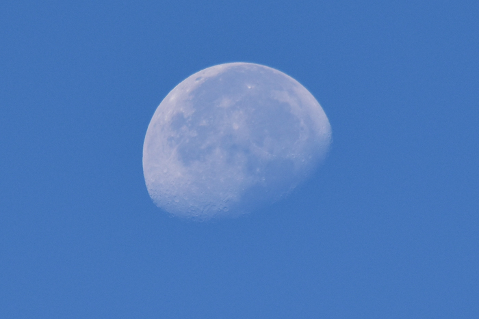 c0049299_21203864.jpg