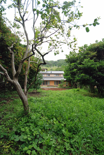 c0195909_11504204.jpg