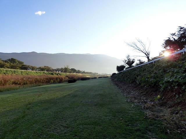 e0234924_10313681.jpg