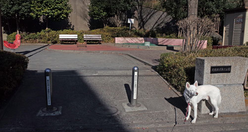 a0117039_22185924.jpg
