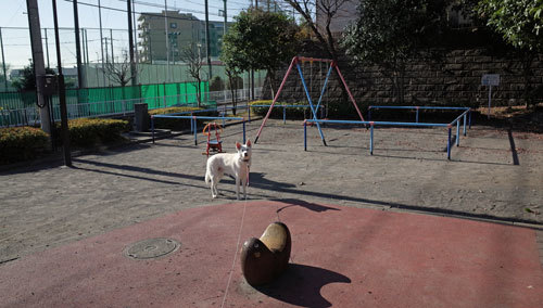 a0117039_22191662.jpg