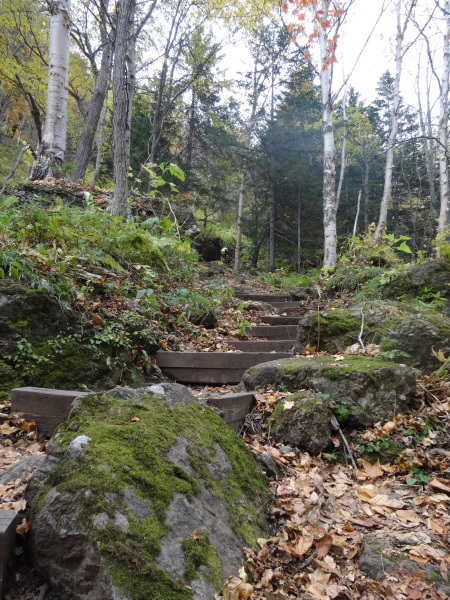 f0369840_22171195.jpg