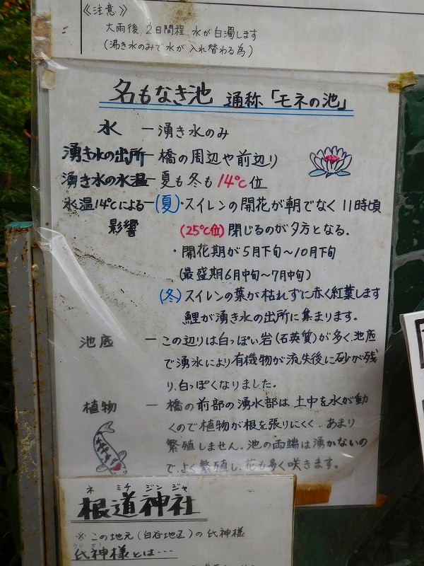 e0237645_00314425.jpg
