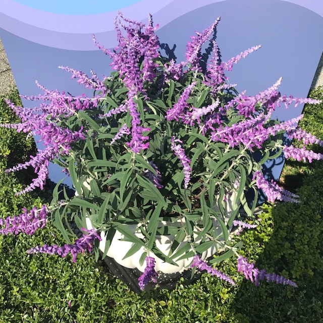 c0343447_08165740.jpg