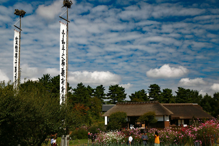 a0120949_6405021.jpg