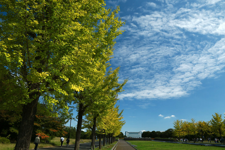 a0120949_6443967.jpg