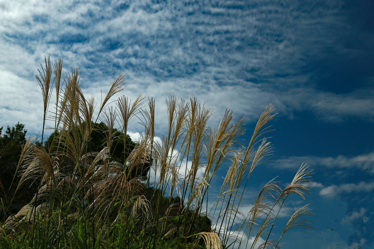 a0120949_64503.jpg