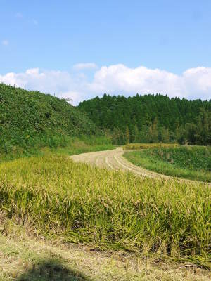 a0254656_17504815.jpg