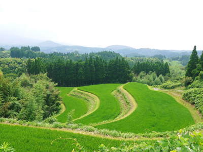 a0254656_18173545.jpg