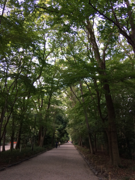 f0362457_22265562.jpg