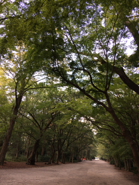 f0362457_22265715.jpg