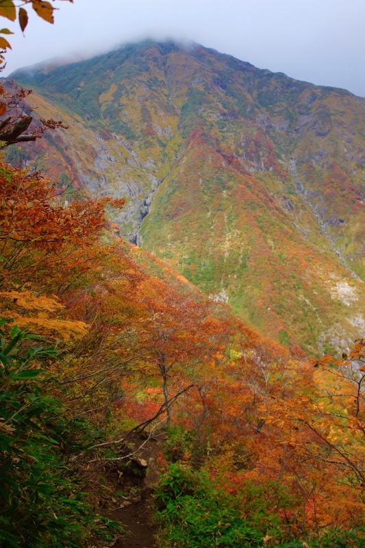 a0248459_16315653.jpg