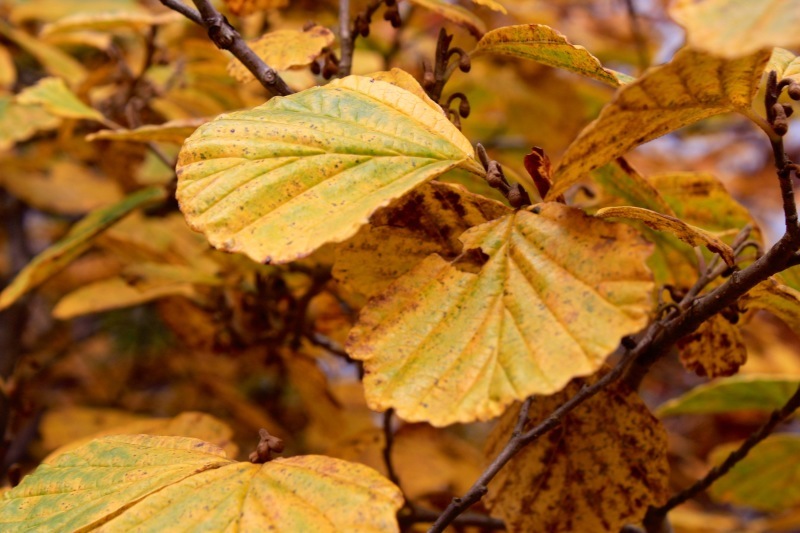 a0248459_16392508.jpg