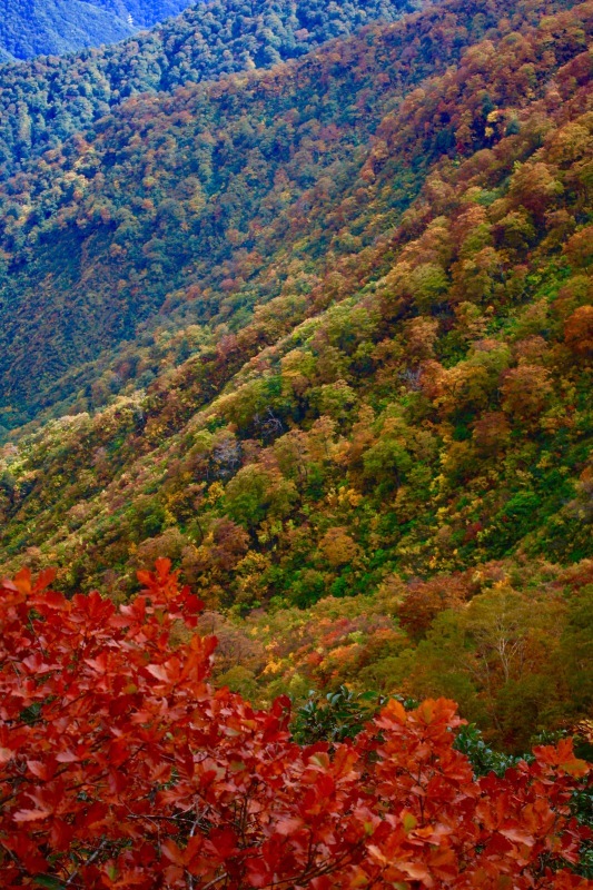 a0248459_16410338.jpg