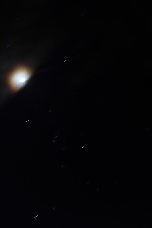a0248459_16481116.jpg