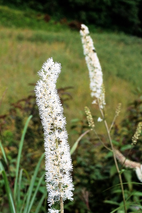 c0248473_19322159.jpg
