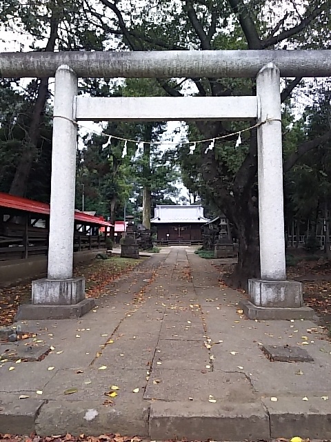 d0353074_15470377.jpg
