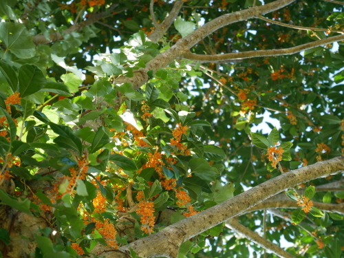 f0054677_08131552.jpg