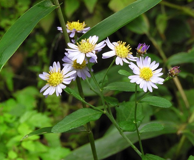f0378979_11244609.jpg