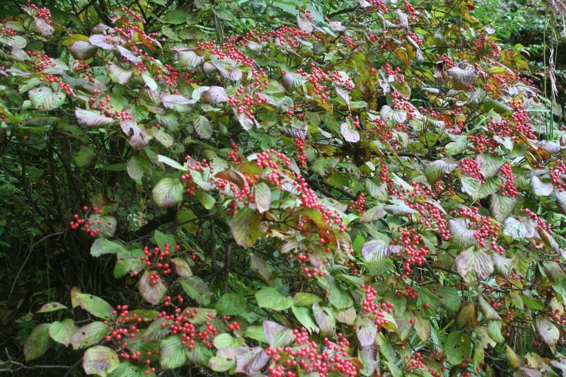 e0373688_05223250.jpg