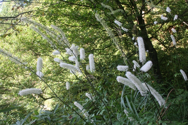 e0373688_05224707.jpg