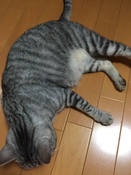 d0039312_21221902.jpg