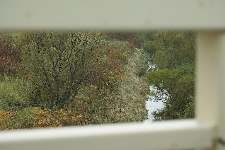 c0162516_16155227.jpg