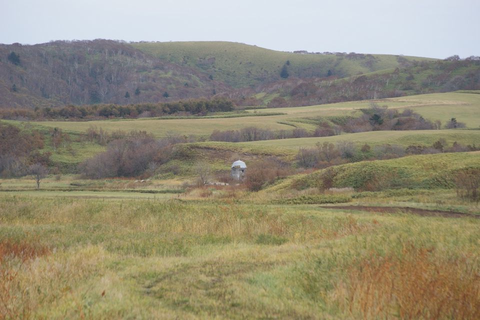 c0162516_16160345.jpg